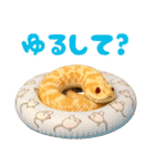 シシバナヘビの日常スタンプ（個別スタンプ：26）