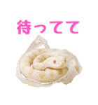 シシバナヘビの日常スタンプ（個別スタンプ：31）