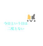 シンプルな猫と名言（個別スタンプ：1）