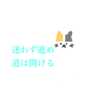 シンプルな猫と名言（個別スタンプ：17）