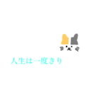 シンプルな猫と名言（個別スタンプ：20）