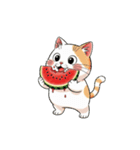 【スイカを食べる猫】（個別スタンプ：1）