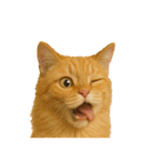 猫 の 変顔（個別スタンプ：6）