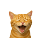 猫 の 変顔（個別スタンプ：18）