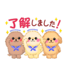 かわいいトイプードルの夏（個別スタンプ：1）