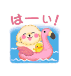 かわいいトイプードルの夏（個別スタンプ：3）