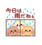 かわいいトイプードルの夏（個別スタンプ：13）