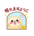 かわいいトイプードルの夏（個別スタンプ：15）