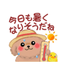 かわいいトイプードルの夏（個別スタンプ：17）