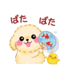 かわいいトイプードルの夏（個別スタンプ：18）