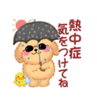 かわいいトイプードルの夏（個別スタンプ：20）