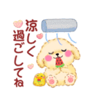 かわいいトイプードルの夏（個別スタンプ：21）