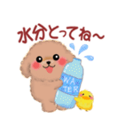 かわいいトイプードルの夏（個別スタンプ：22）