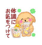 かわいいトイプードルの夏（個別スタンプ：25）