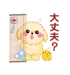 かわいいトイプードルの夏（個別スタンプ：27）