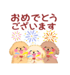 かわいいトイプードルの夏（個別スタンプ：30）