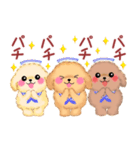 かわいいトイプードルの夏（個別スタンプ：31）