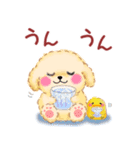 かわいいトイプードルの夏（個別スタンプ：33）