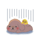 かわいいトイプードルの夏（個別スタンプ：35）