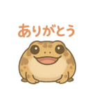 色んな表情アメフクラガエル（個別スタンプ：1）