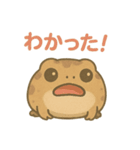 色んな表情アメフクラガエル（個別スタンプ：9）