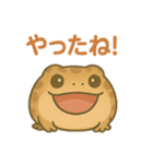 色んな表情アメフクラガエル（個別スタンプ：21）