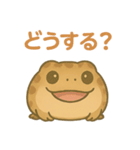 色んな表情アメフクラガエル（個別スタンプ：23）