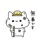 always ねこちゃん2（個別スタンプ：8）
