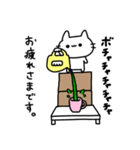 always ねこちゃん2（個別スタンプ：22）