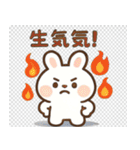 かわいい小さな白いウサギ 職場うさぎ編（個別スタンプ：19）