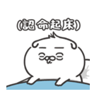 自慢のウサギ 18（個別スタンプ：2）