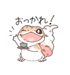 レオパまみれスタンプ第3弾（個別スタンプ：1）