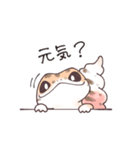 レオパまみれスタンプ第3弾（個別スタンプ：8）