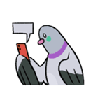 鳩にはトラブル無用4 (2025 LET'S DRAW)（個別スタンプ：5）