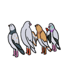 鳩にはトラブル無用4 (2025 LET'S DRAW)（個別スタンプ：8）