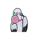 鳩にはトラブル無用4 (2025 LET'S DRAW)（個別スタンプ：31）