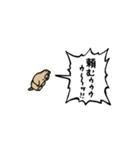 ▶︎動く！叫ぶ小さいマーモット3（個別スタンプ：16）