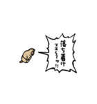▶︎動く！叫ぶ小さいマーモット3（個別スタンプ：23）
