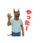 グレートデンの喜怒哀楽スタンプ1（個別スタンプ：4）