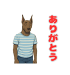 グレートデンの喜怒哀楽スタンプ1（個別スタンプ：5）