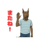 グレートデンの喜怒哀楽スタンプ1（個別スタンプ：7）