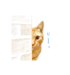 茶トラ猫 毎日 スタンプ（個別スタンプ：38）