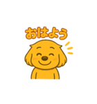 ゴールデンレトリバー ウェル吉スタンプ①（個別スタンプ：1）