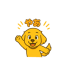 ゴールデンレトリバー ウェル吉スタンプ①（個別スタンプ：6）
