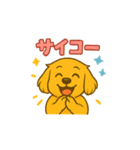 ゴールデンレトリバー ウェル吉スタンプ①（個別スタンプ：12）