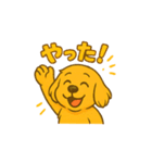 ゴールデンレトリバー ウェル吉スタンプ①（個別スタンプ：15）