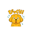 ゴールデンレトリバー ウェル吉スタンプ①（個別スタンプ：17）