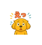 ゴールデンレトリバー ウェル吉スタンプ①（個別スタンプ：19）