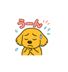 ゴールデンレトリバー ウェル吉スタンプ①（個別スタンプ：22）