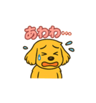 ゴールデンレトリバー ウェル吉スタンプ①（個別スタンプ：23）